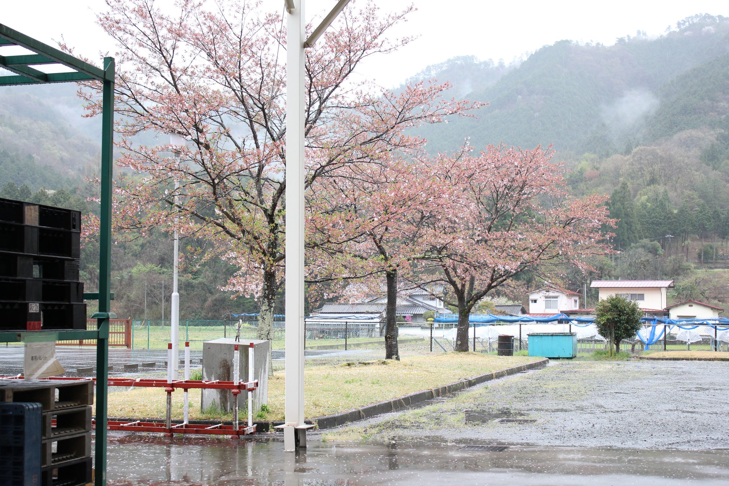 三橋サンブリッジ　新入社員歓迎会